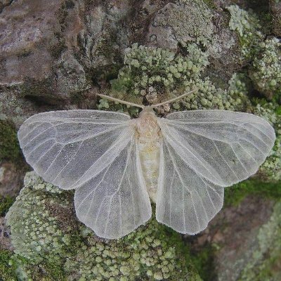 nwtopia_'s profile picture. 