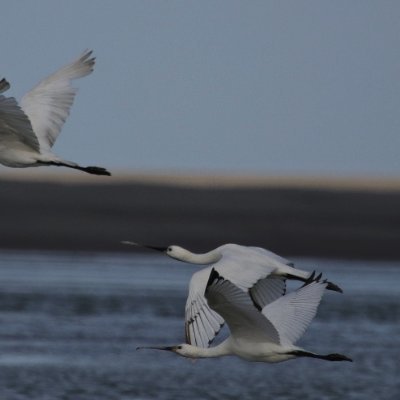 HMDD93's profile picture. 