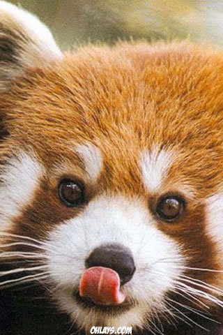 Shae_Jones1's profile picture. If you follow me i'll follow you back ;)