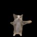 KinGMastO (@_kingmasto) Twitter profile photo KinGMastO (@_kingmasto) Twitter profile photo