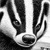 AmericanBadger (@badbadger55) Twitter profile photo AmericanBadger (@badbadger55) Twitter profile photo