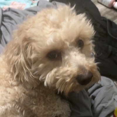 remimmama's profile picture. i love the way it feels to be a hater