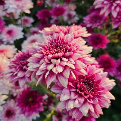 Mos68017154's profile picture. 