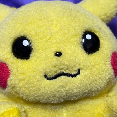 ぴかぴ@だってばさき(@pikarotto2005)の初期ピカ垢です。アイコンの子は25年以上一緒に暮らしてるコチュローちゃんです。更新頻度は少ないと思いますが、よろしくお願いいたします。