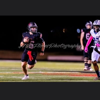 bradylamm Profile
