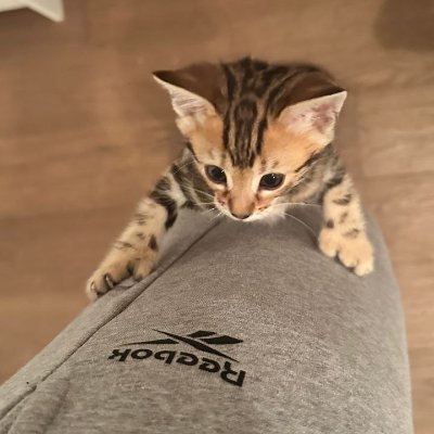 aymen8478's profile picture. 