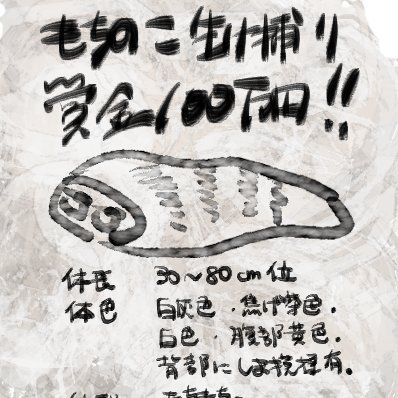 センシティブ絵がたまに出ます-成人済のみ可(高校生不可)/Adults only
無断転載禁止/Do not repost.
@marikin021 / @chibichan_okk
のよくいる方