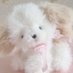 ๋จธ๋ฃฝ์ง (@vvvvv_vov) Twitter profile photo ๋จธ๋ฃฝ์ง (@vvvvv_vov) Twitter profile photo