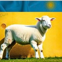 THELION🇷🇼🇷🇼🇷🇼 (@maurius8) 's Twitter Profile