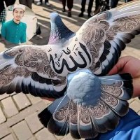 Aisha Muhammad (@amohfx) 's Twitter Profile