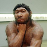 Die Neanderdal Man ❤️🇩🇪🇩🇪 (@graydonshaun) 's Twitter Profile Photo