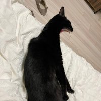 Bris (@briserpitou) 's Twitter Profile Photo Bris (@briserpitou) 's Twitter Profile Photo