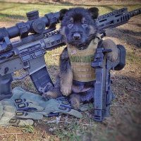 Franco Castello (@francocast40681) 's Twitter Profile Photo Franco Castello (@francocast40681) 's Twitter Profile Photo