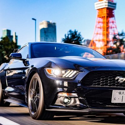 ktjk44444's profile picture. 