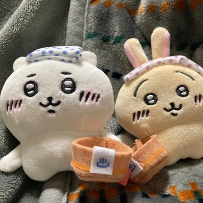 kojikoj123's profile picture. 2児のママ👩♂ 🔰ポイ活