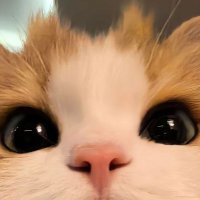 Bahaary (@bahaary_gul) 's Twitter Profile Photo Bahaary (@bahaary_gul) 's Twitter Profile Photo