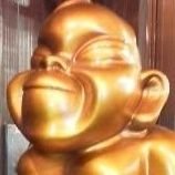 zemikuma's profile picture. 