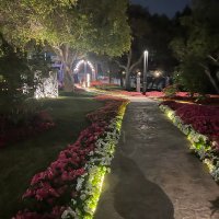 أبو شذا 🇸🇦📚 (@tgosbamna) 's Twitter Profile Photo أبو شذا 🇸🇦📚 (@tgosbamna) 's Twitter Profile Photo