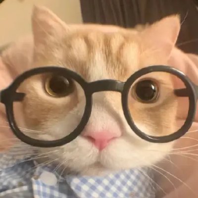 hanh52161261's profile picture. 我爱睡觉，我只想睡觉，我有空就睡觉。