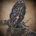 Amygdala (@cummfpk) Twitter profile photo Amygdala (@cummfpk) Twitter profile photo