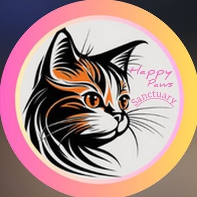 We are dedicated to rescue, rehabilitate & rehome to save cats in need. Non profit, no sponsor & rely on your help.
Donate or Pledge to help