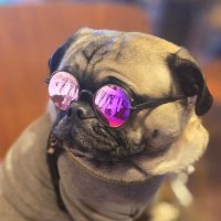 ๐ถ๐บ๐ฐ๐
๐ฐ๐
๐ฐ๐บ๐ธ๐ท๐ธ๐ณ๐ด๐
๐พโฝโพ๐ (@kawahidedogs) 's Twitter Profile