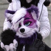 Koko~ 🐾 | 🔜 FWA (@kokothecollie) 's Twitter Profile Photo Koko~ 🐾 | 🔜 FWA (@kokothecollie) 's Twitter Profile Photo