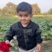 Najeeb Nikmal (@najeebnikm32381) Twitter profile photo Najeeb Nikmal (@najeebnikm32381) Twitter profile photo