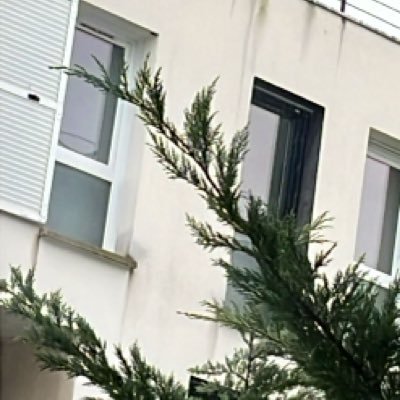 OdoEvan's profile picture. 