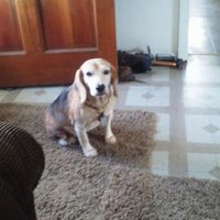 GRETCHEN TUCKER (@gretchentuc1) 's Twitter Profile