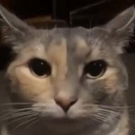 SlendStone's profile picture. Beepbox Musician
Stressed out
Geometry Dash 
24
lonely