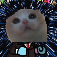TheSOLxG 🐱 (@solxgs) 's Twitter Profile Photo TheSOLxG 🐱 (@solxgs) 's Twitter Profile Photo