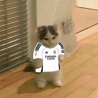 catriinaai's profile picture. 