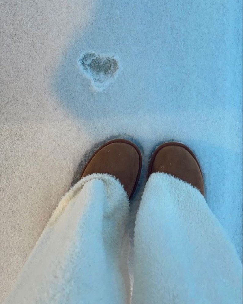 SheseazvRe_l's profile picture. 