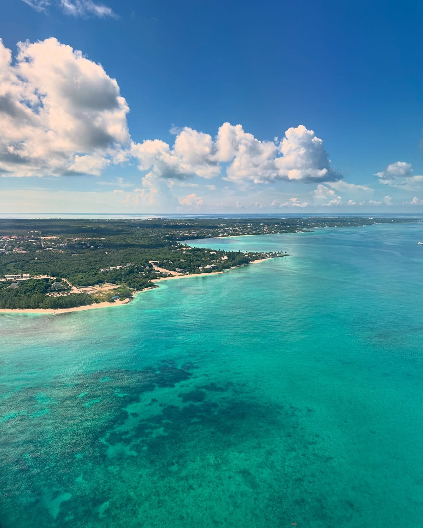 MpechosrDgqWjl's profile picture. 