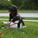 Don Marx - @themarxfamily - Twitter