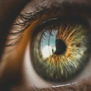 Eyes0fTheNight's profile picture. 