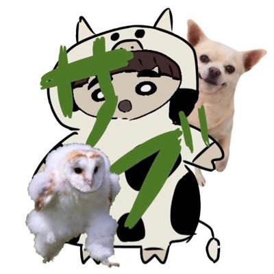 ぶいちのアカウントがシャドウバン？くらったので一時的に垢引越ししました‼️ 本垢→@BUITI_SARU