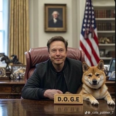 CEO - SpaceX🚀, Tesla 🚘Founder - The Boring Company🛣️