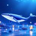 DegenDetective🐳 (@degenmegaups) Twitter profile photo DegenDetective🐳 (@degenmegaups) Twitter profile photo