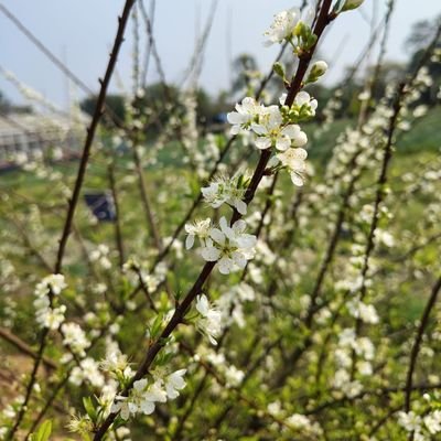 EMU2303's profile picture.