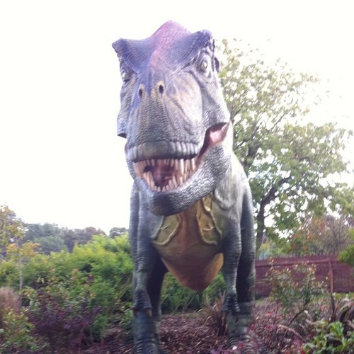 PakDood1g's profile picture. 