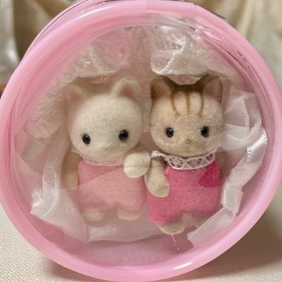 かやのさんのプロフィール画像