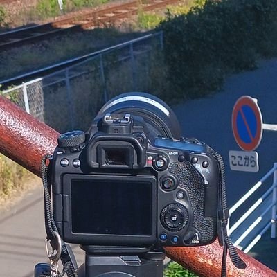 tetsutatsu7's profile picture. canon 
EOS90D+EF70-300　ll