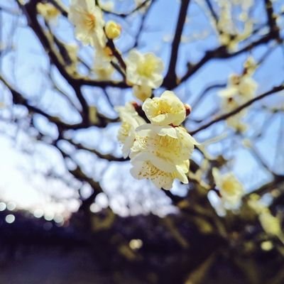 元出版社社員のゆーりんちー🦉
ホラー・ミステリーetc....
#読書好きな人と繋がりたい
#ブクログ はURL🔗から