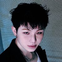 보보 (@vobo_woozi) 's Twitter Profile