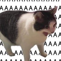 pkrathing (@pkrathingka) 's Twitter Profile