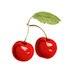 LondonFarmGarden (@ldnfarmgarden) Twitter profile photo