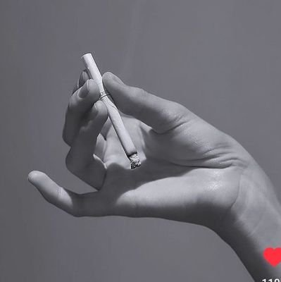 agronoutxr's profile picture. tunggu kiris