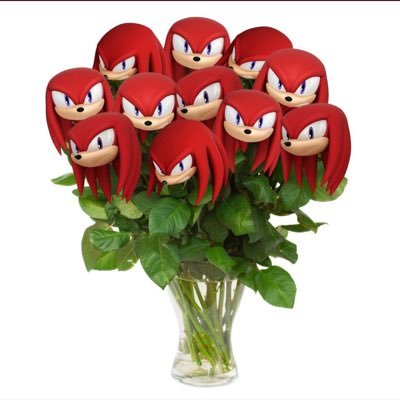 gomanomama3's profile picture. 80↑⚜️いきててたのしい⚜️ Do you like Knuckles? Yes!!! of course!!! ごちゃまぜだよ〜
